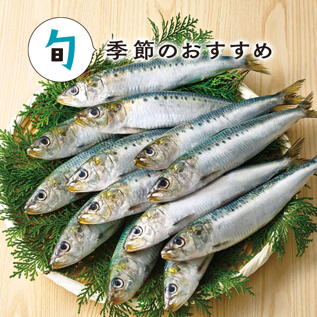 6月の旬