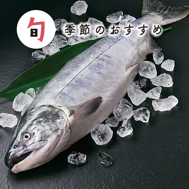 9月の旬